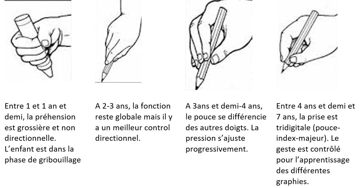 capacités de préhension